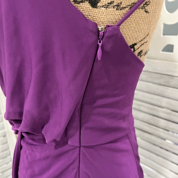 Haute Hippie Purple Kaitlin Silhouette Wrap Front Dress - Picture 6 of 13